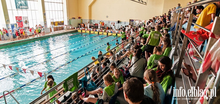 Kryta pływalnia MOSiR gościła najmłodszych na VIII Elbląskiej Wiośnie Pływackiej