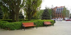 Na Placu Sowiaskim stoj ju aweczki