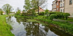 "Latem gsta od zielonej rzsy "zupa" to dla nas widok codzienny". Kana zostanie oczyszczony?