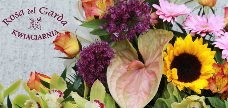 Mama to najwspanialsza osoba na świecie