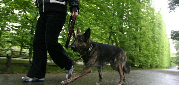 Na frisbee i biegi z zachowaniem zasad czystoci. Z psem do parku na specjalnych warunkach?