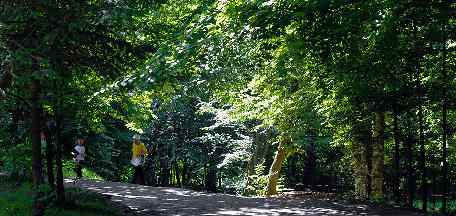 Bażantarnia – największy zielony „azyl” elblążan