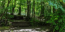 Ogie�, woda, powietrze, ziemia. Ba�antarnia czterech �ywio��w