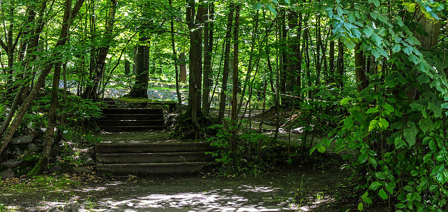 Ogień, woda, powietrze, ziemia. Bażantarnia czterech żywiołów