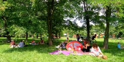 Dawny "Różany Ogród" to dziś Park Kajki. Poznaj jego historię