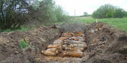 Nadle�nictwo realizuje projekt oczyszczania las�w z bomb 