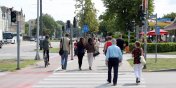 W Elblgu coraz czciej walczymy z wirusami i wcieklizn