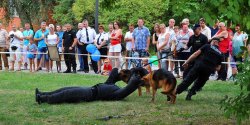 Festyn policyjny dla mieszka�c�w ukoronowaniem �wi�ta Policji - zobacz fotorelacj�
