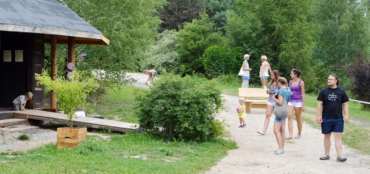 Zobacz Lawendowe Pole - alternatywę dla leniwego spędzania czasu przed telewizorem