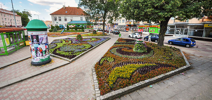 Codziennie na elbląskie skwery i obsady wylewa się kilka tysięcy litrów wody