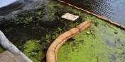Substancja ropopochodna zanieczycia rzek Elblg