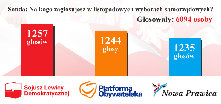 SLD zdobyło największą sympatię naszych czytelników. Zobacz wyniki sondy