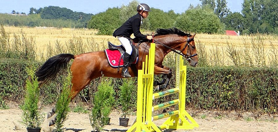 Zobacz fotorelację z III rundy rozgrywek Amatorskiej Ligi Jeździeckiej Elbląga
