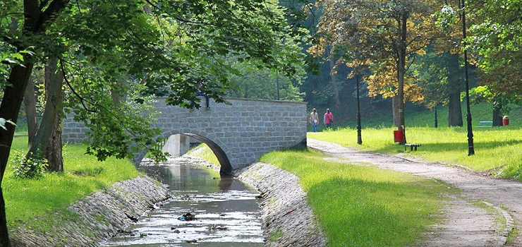 Ponad 30 śniętych pstrągów i chronionych ślizów pływało w Kumieli. "To duża strata"