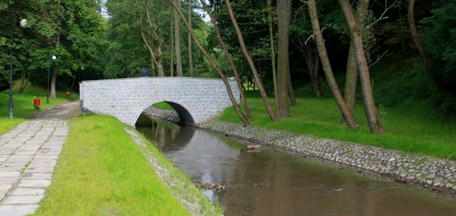 Ani człowiek, ani pasożyt, ani choroba. Co zabiło ryby w Kumieli?