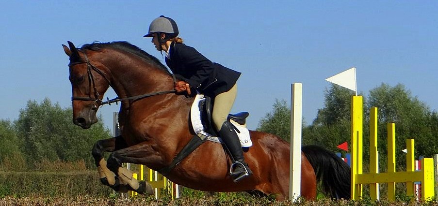 Zobacz fotorelację z finału rozgrywek Amatorskiej Ligi Jeździeckiej Elbląga