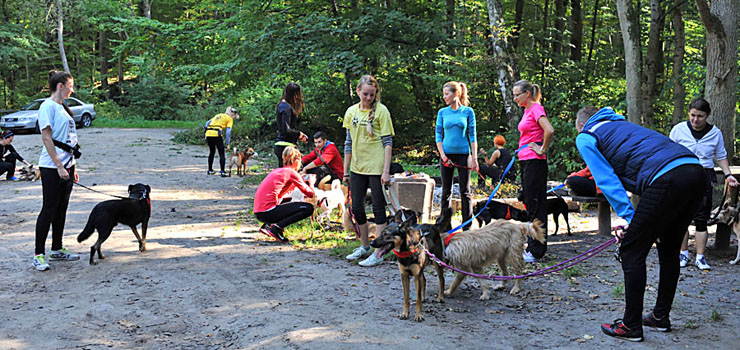 Psy ze schroniska to nie tylko zahukane pieski w klatkach! Za nami elbląski "Bieg na Sześć Łap"