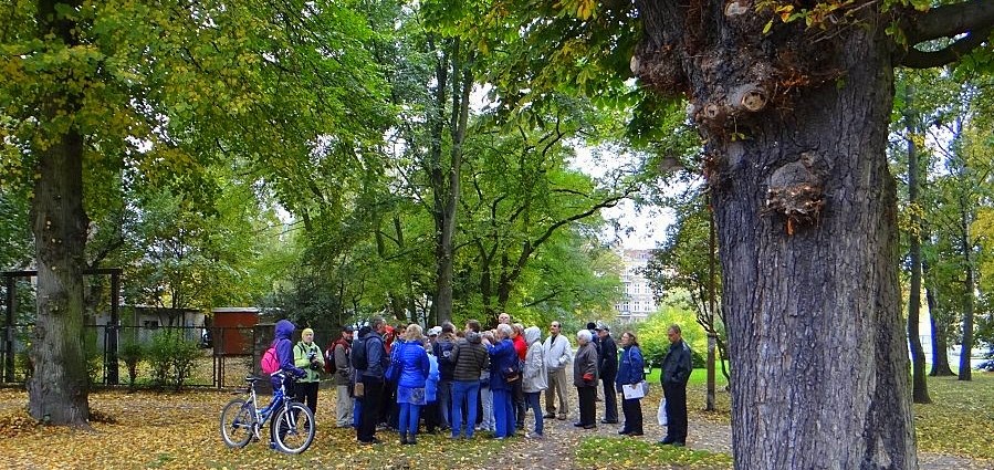 Lipy i kasztanowce nadal opowiadaj tu histori Elblga…