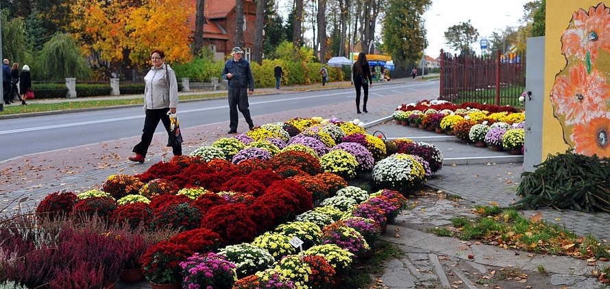 Bogate oferty na stoiskach przed elbląskimi cmentarzami. Dzień Wszystkich Swiętych coraz bliżej