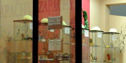 Za "pachn�cy" przybytek zabra�a si� Prokuratura. B�dzie kara dla w�a�ciciela?