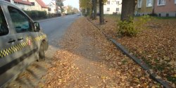 Straż Miejska ostrzega: zeschnięte liście mogą być niebezpieczne dla przechodniów