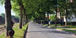 Na Moniuszki wytn� dziesi�tki drzew by zbudowa� chodnik do Centrum Rekreacji Wodnych