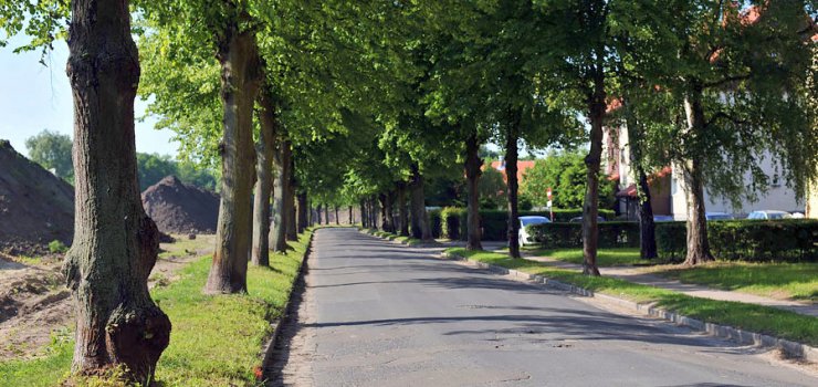 Na Moniuszki wytn dziesitki drzew by zbudowa chodnik do Centrum Rekreacji Wodnych