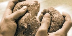 Prawie 7 ton �ywno�ci zebrano podczas �wi�tecznej akcji Podziel si� posi�kiem