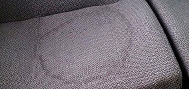 Czy elblążanie czują się komfortowo podczas jazdy komunikacją miejską?