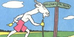 Z Pacanowa do Elbl�ga. Nowoczesny "Kozio�ek Mato�ek" zago�ci w naszym mie�cie