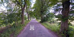 Kolejne setki drzew znikn� z drogi 527 ko�o Rychlik. B�d� wyci�te, bo zagra�aj� bezpiecze�stwu