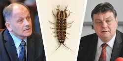Chlorowanie rur jest uci��liwe dla elbl��an. "EPWiK ma ju� wst�pne pomys�y na to, �eby podj�� inne dzia�ania"