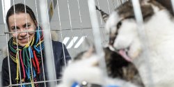 Za nami II Elbl�ska Rewia Kot�w. Dwaj podopieczni schroniska zostali ju� adoptowani