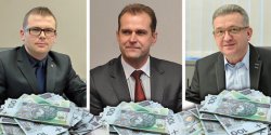Przeledzilimy owiadczenia majtkowe wiceprezydentw Elblga