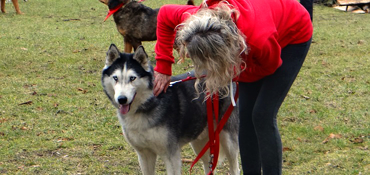 "Bierzemy ich los w swoje ręce!". Zobacz, jak się bawią miłośnicy zwierząt w Biegu na Sześć Łap