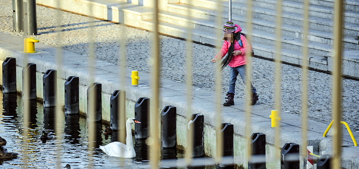 Często jesteśmy świadkami niebezpiecznych zachowań i sytuacji. Jak reagować?