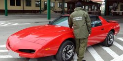 Weekend na granicy - podrobiony dow�d rejestracyjny w Grzechotkach