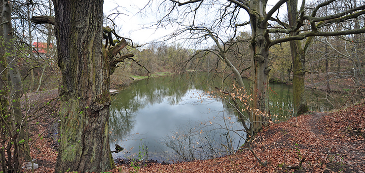 Zbiornik wodny przy Dąbrowskiego chyli się ku ruinie. Są plany by zmienić to miejsce