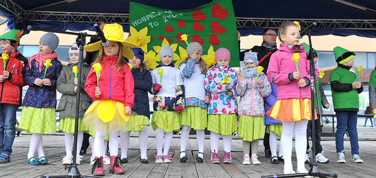 Pola Nadziei w Elblągu po raz 11. Ponad 600 wolontariuszy wyruszyło na ulice miasta