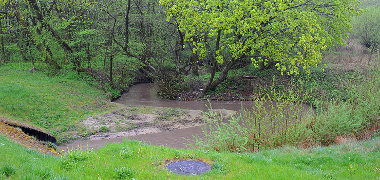 Wielki zbiornik, a pośrodku obwodnica. Tak w przyszłości wyglądać będą okolice Bażantarni