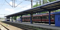 Poci�g jad�cy z Olsztyna do Elbl�ga uderzy� w stado kr�w