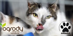 18-19 lipca - Centrum Ogrody oraz OTOZ Animals zaprasza do udzia�u w letniej akcji charytatywnej „Ocali� od zapomnienia"