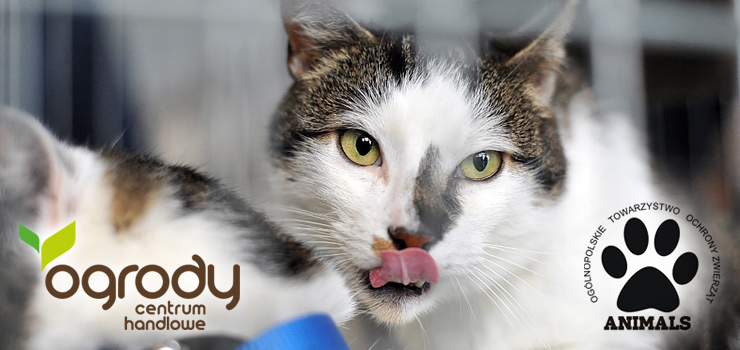 18-19 lipca - Centrum Ogrody oraz OTOZ Animals zaprasza do udziału w letniej akcji charytatywnej „Ocalić od zapomnienia"
