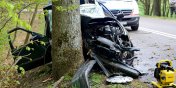 Przydrone drzewa przyczyniaj si do mierci setek osb. Drogowcy z Warmii i Mazur szukaj na nie sposobu
