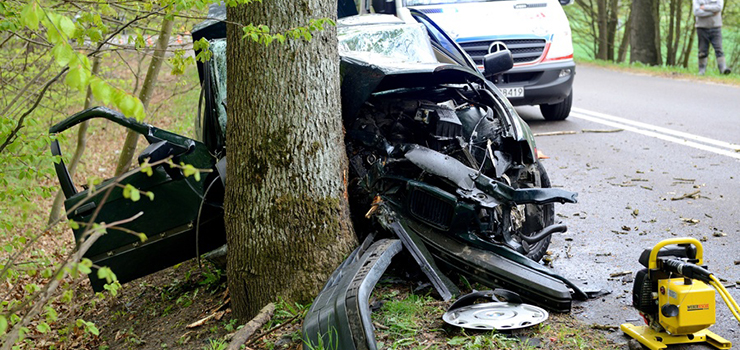 Przydrożne drzewa przyczyniają się do śmierci setek osób. Drogowcy z Warmii i Mazur szukają na nie sposobu