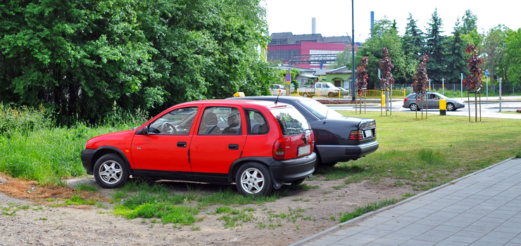 Róbta co chceta? „Żaden z obowiązujących przepisów nie wprowadza zakazu postoju pojazdów na trawniku”