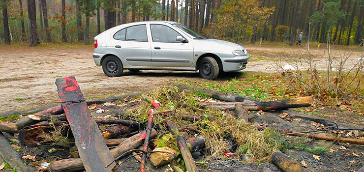 Za parkowanie w lesie możesz słono zapłacić. Mandaty zaczynają się od 500 zł