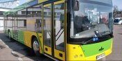 Wyborczy kurs na linii nr 12. W niedziel w Prchniku autobus zaczeka na wyborcw