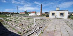 Prawie 5 mln z� za 2,5 ha. Czy znajdzie si� deweloper, kt�ry kupi dawne ogrodnictwo ZZM przy Sadowej?