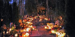 Wieczorny spacer po Cmentarzu Agrykola skania do refleksji i zadumy